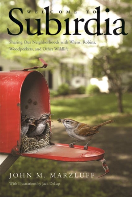 Welcome to Subirdia - Sharing Our Neighborhoods with Wrens, Robins, Woodpeckers, and Other Wildlife