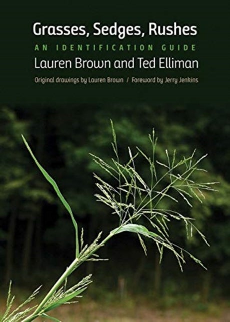 Grasses, Sedges, Rushes - An Identification Guide