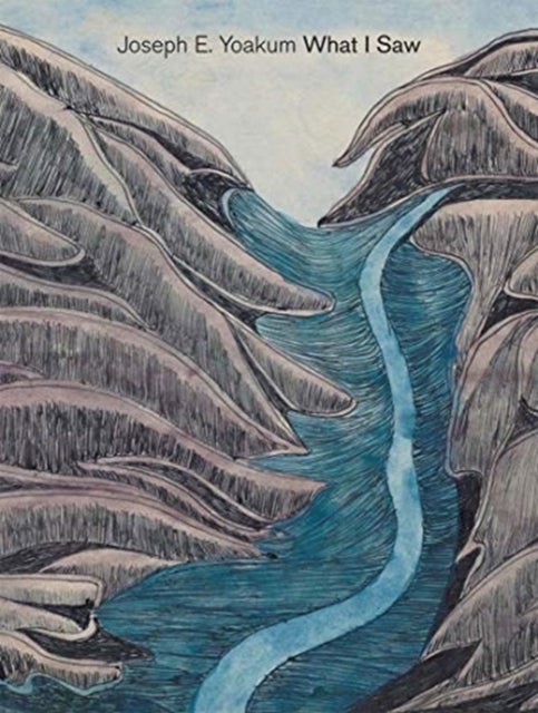 Joseph E. Yoakum - What I Saw