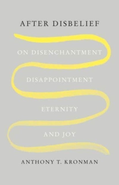 After Disbelief - On Disenchantment, Disappointment, Eternity, and Joy