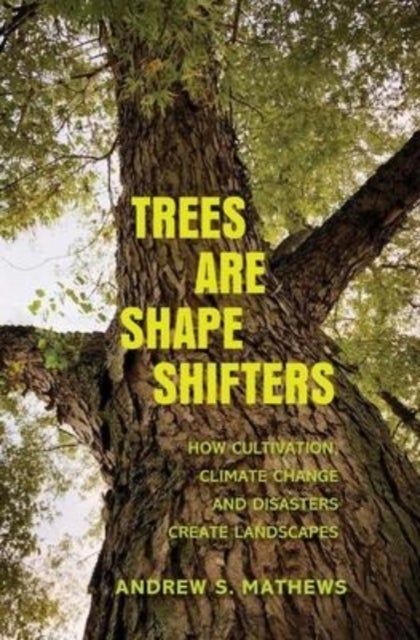 Trees Are Shape Shifters - How Cultivation, Climate Change, and Disaster Create Landscapes