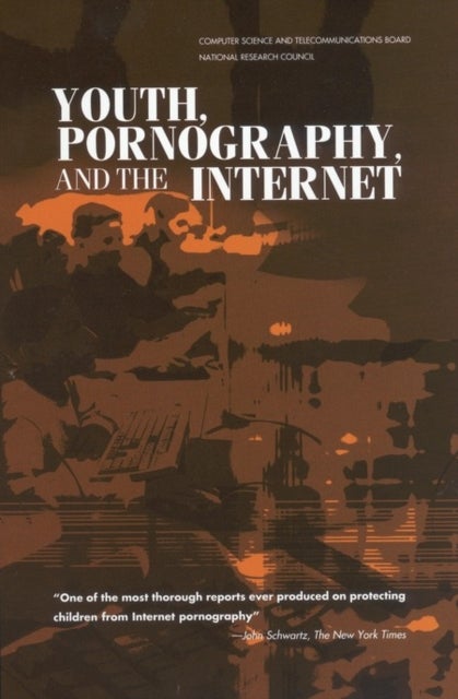 Youth, Pornography, and the Internet