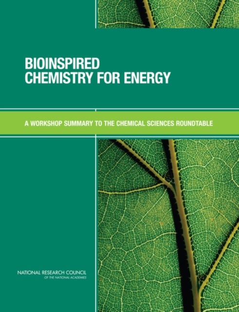 Bioinspired Chemistry for Energy - A Workshop Summary to the Chemical Sciences Roundtable