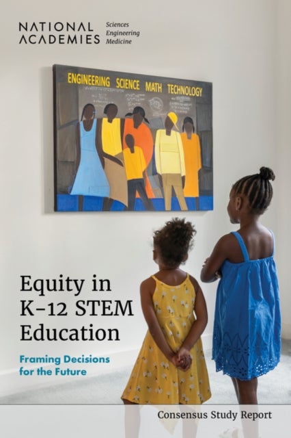 Equity in K-12 STEM Education - Framing Decisions for the Future