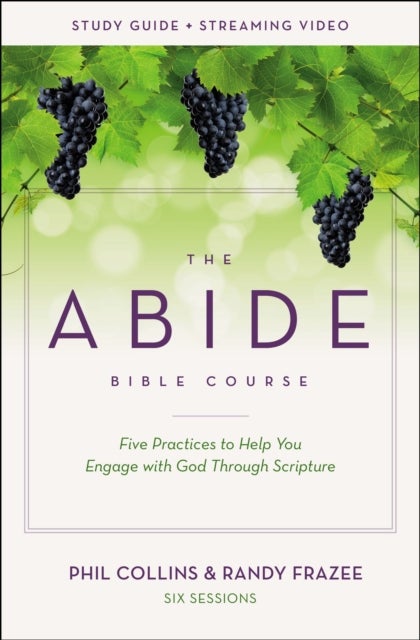 The Abide Bible Course Study Guide plus Streaming Video - Five Practices to Help You Engage with God Through Scripture