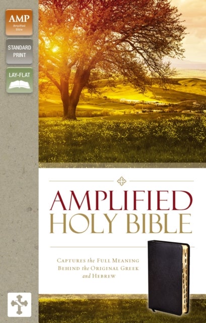 Amplified Holy Bible, Bonded Leather, Black, Thumb Indexed - Captures the Full Meaning Behind the Original Greek and Hebrew
