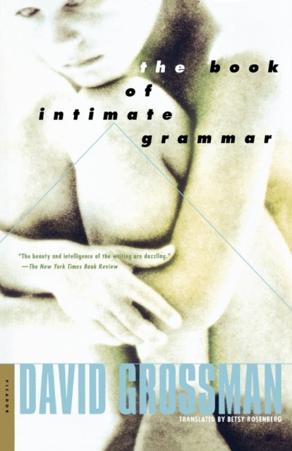 The Book of Intimate Grammar - A Novel