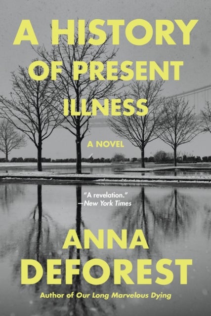 A History of Present Illness - A Novel