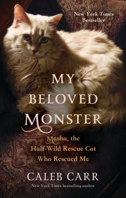 My Beloved Monster : Masha, the Half-Wild Rescue Cat Who Rescued Me - Masha, the Half-Wild Rescue Cat Who Rescued Me