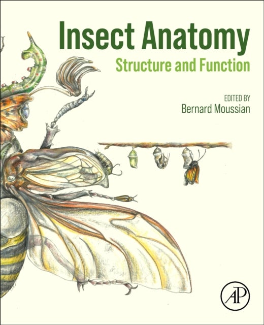 Insect Anatomy - Structure and Function