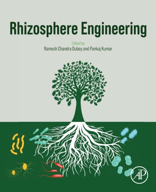 Rhizosphere Engineering