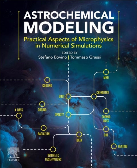 Astrochemical Modeling - Practical Aspects of Microphysics in Numerical Simulations