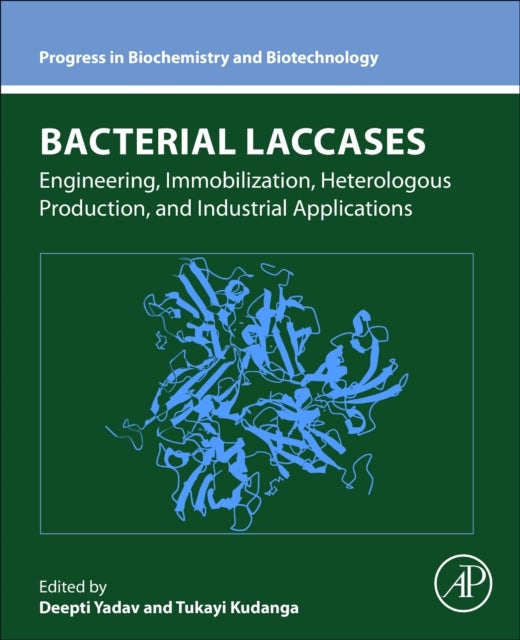 Bacterial Laccases - Engineering, Immobilization, Heterologous Production, and Industrial Applications