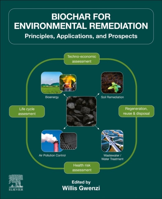 Biochar for Environmental Remediation - Principles, Applications, and Prospects
