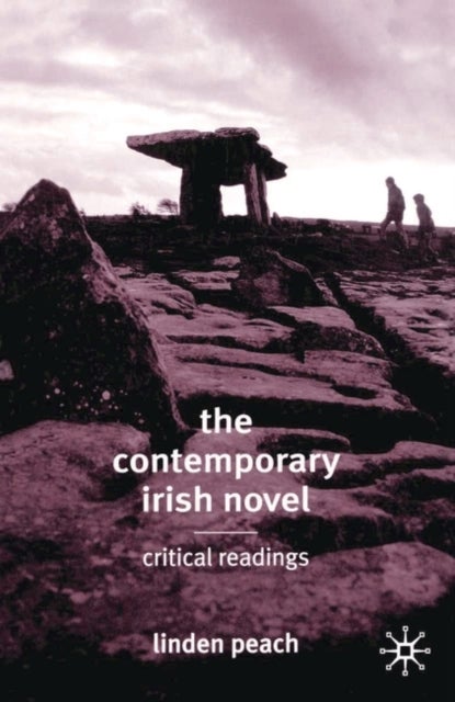 The Contemporary Irish Novel - Critical Readings