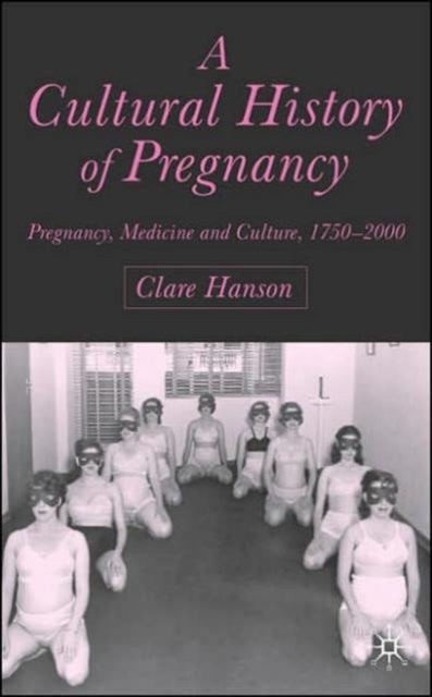 A Cultural History of Pregnancy - Pregnancy, Medicine and Culture, 1750-2000