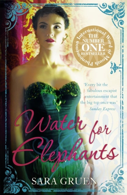 Water for Elephants - a novel for everyone who dreamed of running away to the circus