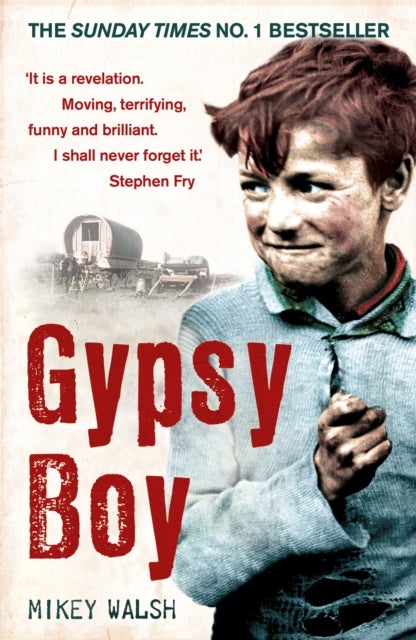 Gypsy Boy - The bestselling memoir of a Romany childhood