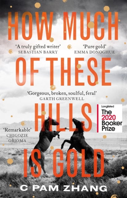How Much of These Hills is Gold - 'A tale of two sisters during the gold rush ... beautifully written' The i, Best Books of the Year