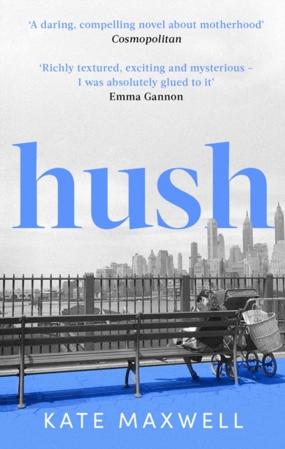 Hush - The heartbreaking and life-affirming debut novel which tells the truth about motherhood