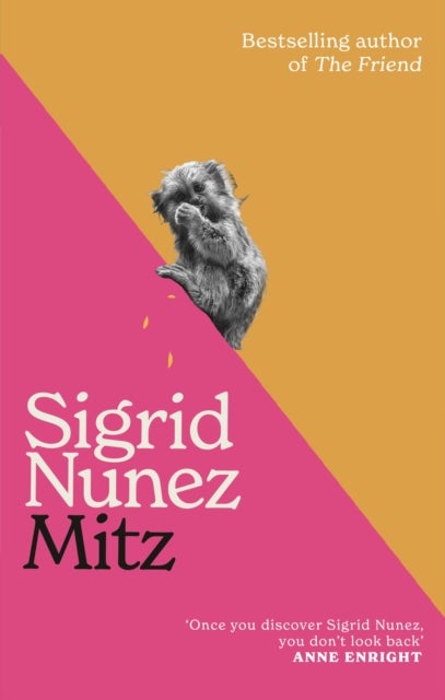 Mitz - The Marmoset of Bloomsbury