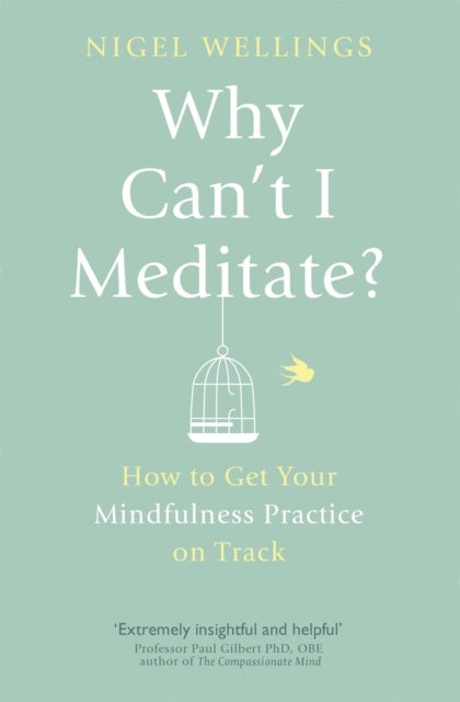 Why Can't I Meditate? - how to get your mindfulness practice on track