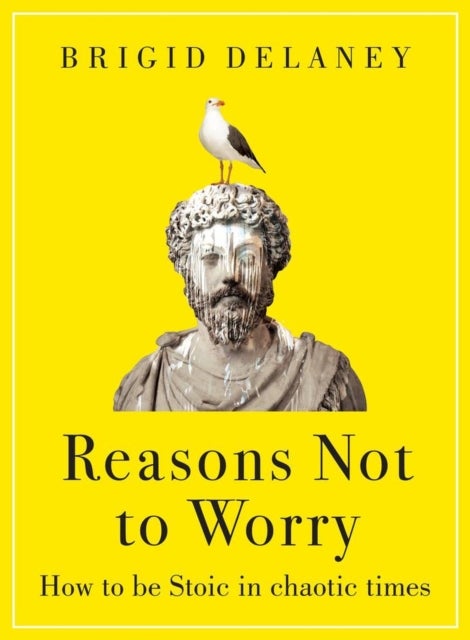 Reasons Not to Worry - How to be Stoic in chaotic times