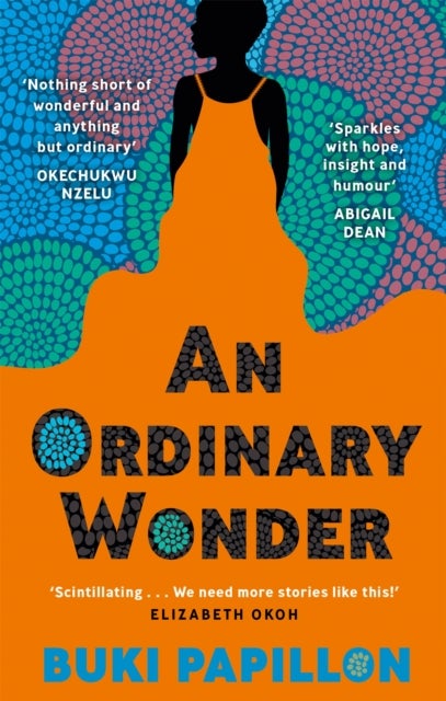 An Ordinary Wonder - Heartbreaking and charming coming-of-age fiction about love, loss and taking chances