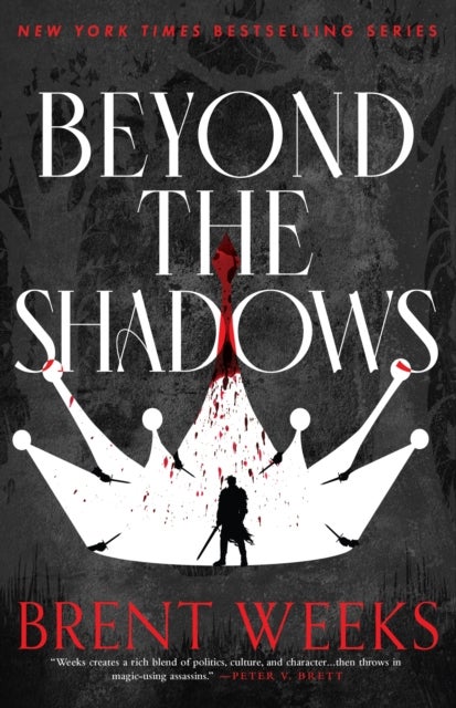 Beyond The Shadows - Book 3 of the Night Angel