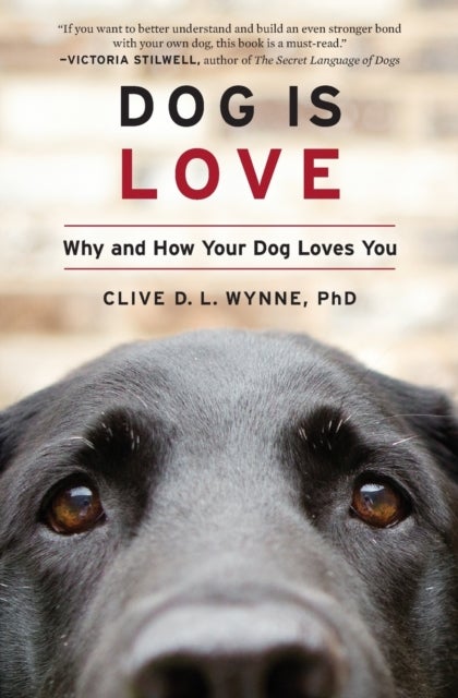 Dog Is Love - Why and How Your Dog Loves You