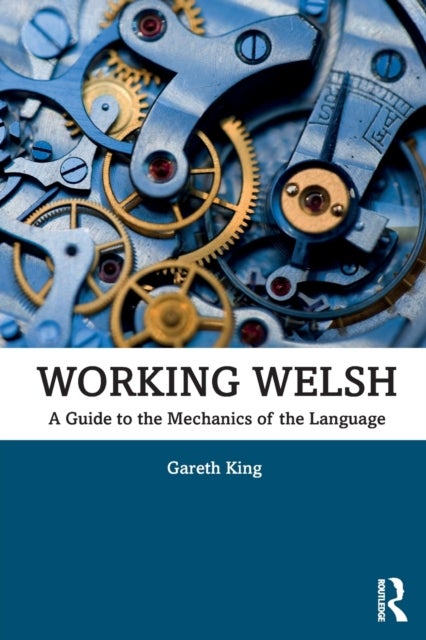 Working Welsh - A Guide to the Mechanics of the Language