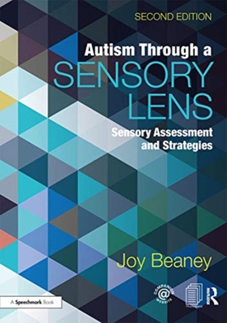 Autism Through A Sensory Lens - Sensory Assessment and Strategies
