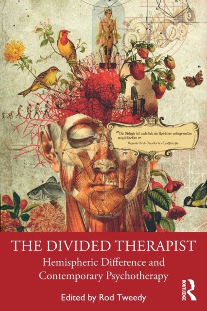 The Divided Therapist - Hemispheric Difference and Contemporary Psychotherapy