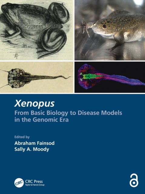 Xenopus - From Basic Biology to Disease Models in the Genomic Era