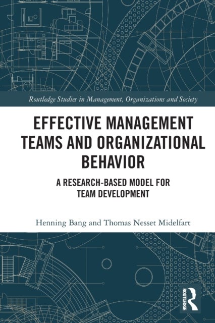 Effective Management Teams and Organizational Behavior - A Research-Based Model for Team Development