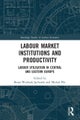 Labour Market Institutions and Productivity