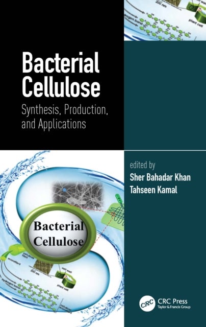 Bacterial Cellulose - Synthesis, Production, and Applications