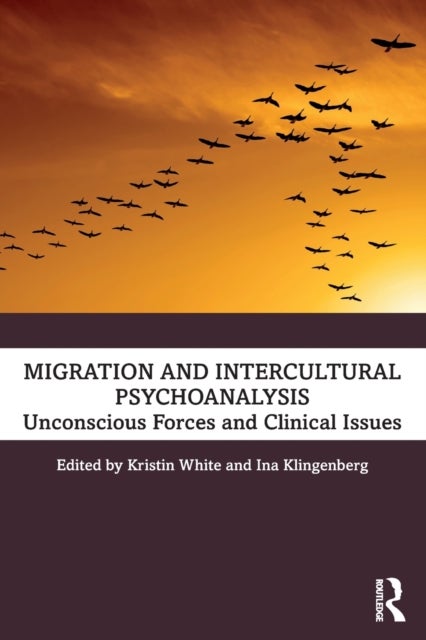 Migration and Intercultural Psychoanalysis - Unconscious Forces and Clinical Issues