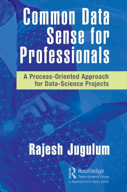 Common Data Sense for Professionals - A Process-Oriented Approach for Data-Science Projects