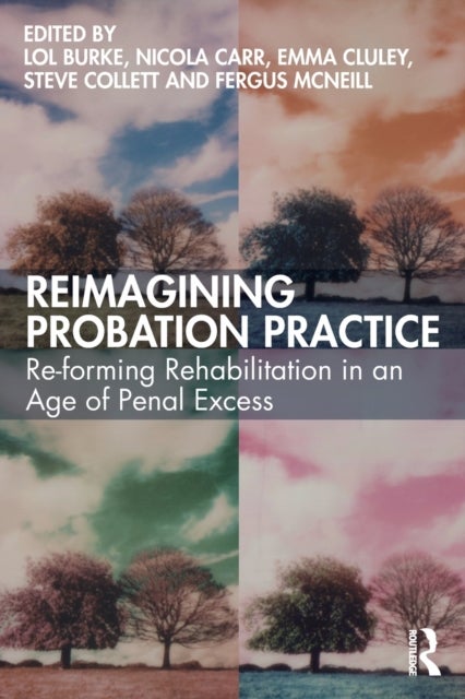 Reimagining Probation Practice - Re-forming Rehabilitation in an Age of Penal Excess