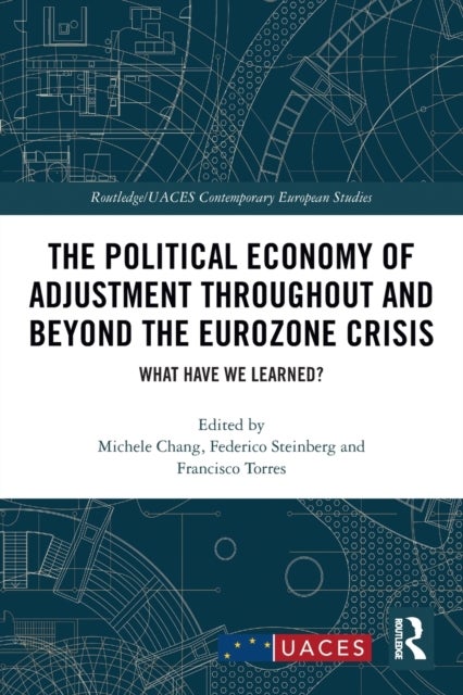 The Political Economy of Adjustment Throughout and Beyond the Eurozone Crisis - What Have We Learned?