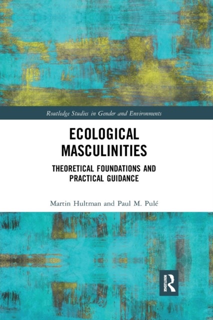 Ecological Masculinities - Theoretical Foundations and Practical Guidance