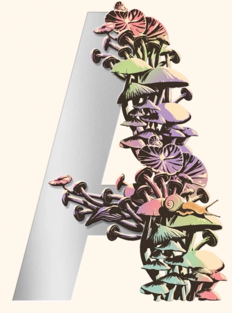 Ambergris - City of Saints and Madmen; Shriek: An Afterword; Finch