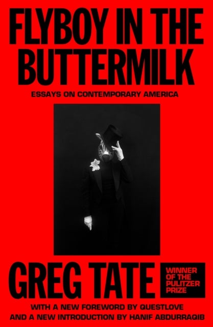 Flyboy in the Buttermilk - Essays on Contemporary America