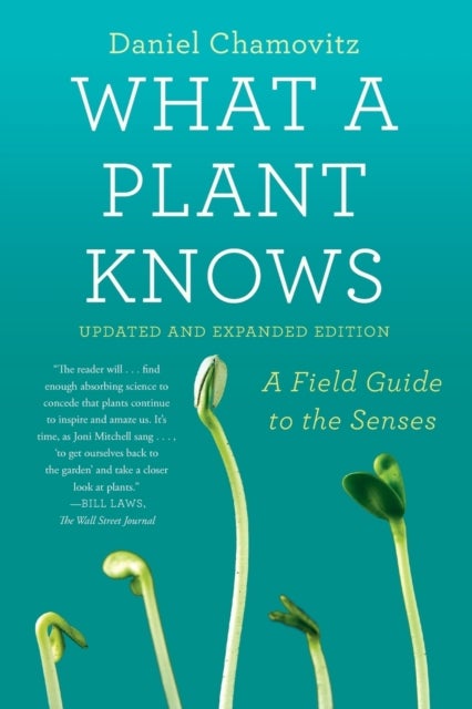 What a Plant Knows - A Field Guide to the Senses: Updated and Expanded Edition
