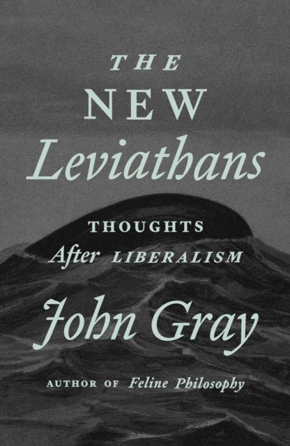 New Leviathans - Thoughts After Liberalism