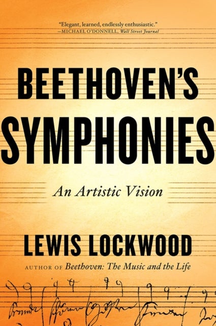 Beethoven's Symphonies - An Artistic Vision