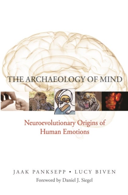 The Archaeology of Mind - Neuroevolutionary Origins of Human Emotions
