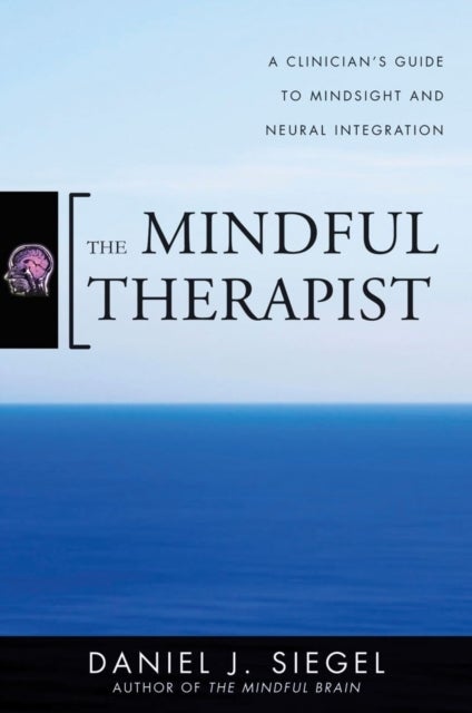 The Mindful Therapist - A Clinician's Guide to Mindsight and Neural Integration