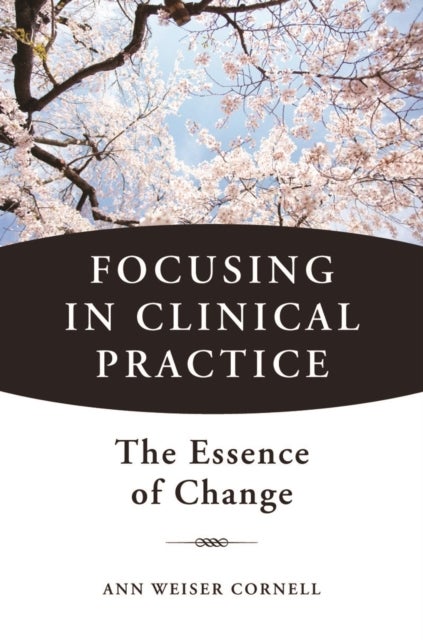 Focusing in Clinical Practice - The Essence of Change